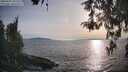 ./images/koeye/fitz-hugh/20260429/fitz-hugh20260429_185501M.jpg