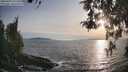 ./images/koeye/fitz-hugh/20260429/fitz-hugh20260429_191501M.jpg