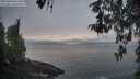 ./images/koeye/fitz-hugh/20260430/fitz-hugh20260430_062502M.jpg