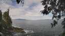 ./images/koeye/fitz-hugh/20260430/fitz-hugh20260430_105001M.jpg