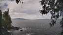 ./images/koeye/fitz-hugh/20260430/fitz-hugh20260430_115002M.jpg