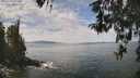 ./images/koeye/fitz-hugh/20260430/fitz-hugh20260430_123501M.jpg