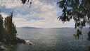 ./images/koeye/fitz-hugh/20260430/fitz-hugh20260430_124001M.jpg