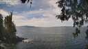 ./images/koeye/fitz-hugh/20260430/fitz-hugh20260430_124502M.jpg