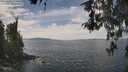 ./images/koeye/fitz-hugh/20260430/fitz-hugh20260430_125002M.jpg