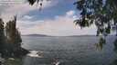 ./images/koeye/fitz-hugh/20260430/fitz-hugh20260430_130501M.jpg