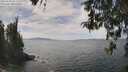 ./images/koeye/fitz-hugh/20260430/fitz-hugh20260430_132502M.jpg