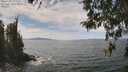 ./images/koeye/fitz-hugh/20260430/fitz-hugh20260430_134002M.jpg