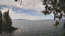 ./images/koeye/fitz-hugh/20260430/fitz-hugh20260430_134501M.jpg