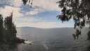 ./images/koeye/fitz-hugh/20260430/fitz-hugh20260430_135001M.jpg