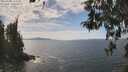 ./images/koeye/fitz-hugh/20260430/fitz-hugh20260430_135502M.jpg