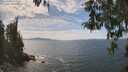 ./images/koeye/fitz-hugh/20260430/fitz-hugh20260430_140002M.jpg