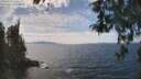 ./images/koeye/fitz-hugh/20260430/fitz-hugh20260430_140501M.jpg