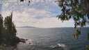 ./images/koeye/fitz-hugh/20260430/fitz-hugh20260430_141501M.jpg