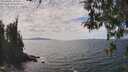 ./images/koeye/fitz-hugh/20260430/fitz-hugh20260430_142501M.jpg