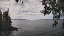 ./images/koeye/fitz-hugh/20260430/fitz-hugh20260430_143501M.jpg