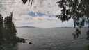 ./images/koeye/fitz-hugh/20260430/fitz-hugh20260430_144001M.jpg
