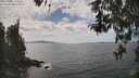 ./images/koeye/fitz-hugh/20260430/fitz-hugh20260430_144501M.jpg