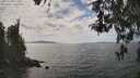./images/koeye/fitz-hugh/20260430/fitz-hugh20260430_145001M.jpg