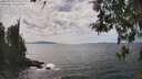 ./images/koeye/fitz-hugh/20260430/fitz-hugh20260430_145501M.jpg