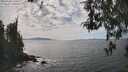 ./images/koeye/fitz-hugh/20260430/fitz-hugh20260430_151001M.jpg