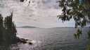 ./images/koeye/fitz-hugh/20260430/fitz-hugh20260430_152002M.jpg