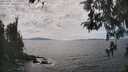 ./images/koeye/fitz-hugh/20260430/fitz-hugh20260430_153001M.jpg