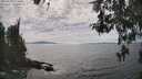 ./images/koeye/fitz-hugh/20260430/fitz-hugh20260430_154501M.jpg