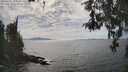 ./images/koeye/fitz-hugh/20260430/fitz-hugh20260430_155001M.jpg