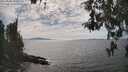 ./images/koeye/fitz-hugh/20260430/fitz-hugh20260430_155501M.jpg