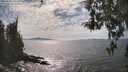 ./images/koeye/fitz-hugh/20260430/fitz-hugh20260430_160501M.jpg