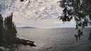 ./images/koeye/fitz-hugh/20260430/fitz-hugh20260430_161501M.jpg