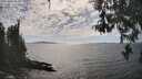 ./images/koeye/fitz-hugh/20260430/fitz-hugh20260430_162001M.jpg