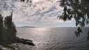 ./images/koeye/fitz-hugh/20260430/fitz-hugh20260430_162501M.jpg