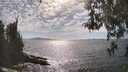 ./images/koeye/fitz-hugh/20260430/fitz-hugh20260430_163001M.jpg