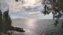 ./images/koeye/fitz-hugh/20260430/fitz-hugh20260430_164501M.jpg