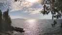 ./images/koeye/fitz-hugh/20260430/fitz-hugh20260430_165501M.jpg