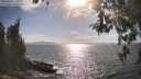 ./images/koeye/fitz-hugh/20260430/fitz-hugh20260430_171001M.jpg