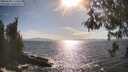 ./images/koeye/fitz-hugh/20260430/fitz-hugh20260430_171501M.jpg