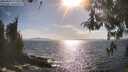 ./images/koeye/fitz-hugh/20260430/fitz-hugh20260430_172001M.jpg