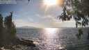 ./images/koeye/fitz-hugh/20260430/fitz-hugh20260430_172501M.jpg