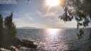 ./images/koeye/fitz-hugh/20260430/fitz-hugh20260430_173001M.jpg
