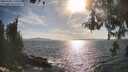 ./images/koeye/fitz-hugh/20260430/fitz-hugh20260430_174001M.jpg
