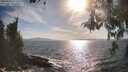 ./images/koeye/fitz-hugh/20260430/fitz-hugh20260430_174501M.jpg