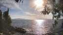 ./images/koeye/fitz-hugh/20260430/fitz-hugh20260430_175001M.jpg