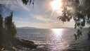 ./images/koeye/fitz-hugh/20260430/fitz-hugh20260430_175501M.jpg