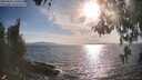 ./images/koeye/fitz-hugh/20260430/fitz-hugh20260430_180501M.jpg