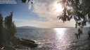 ./images/koeye/fitz-hugh/20260430/fitz-hugh20260430_181001M.jpg