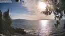 ./images/koeye/fitz-hugh/20260430/fitz-hugh20260430_181501M.jpg