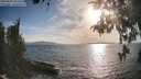 ./images/koeye/fitz-hugh/20260430/fitz-hugh20260430_182501M.jpg